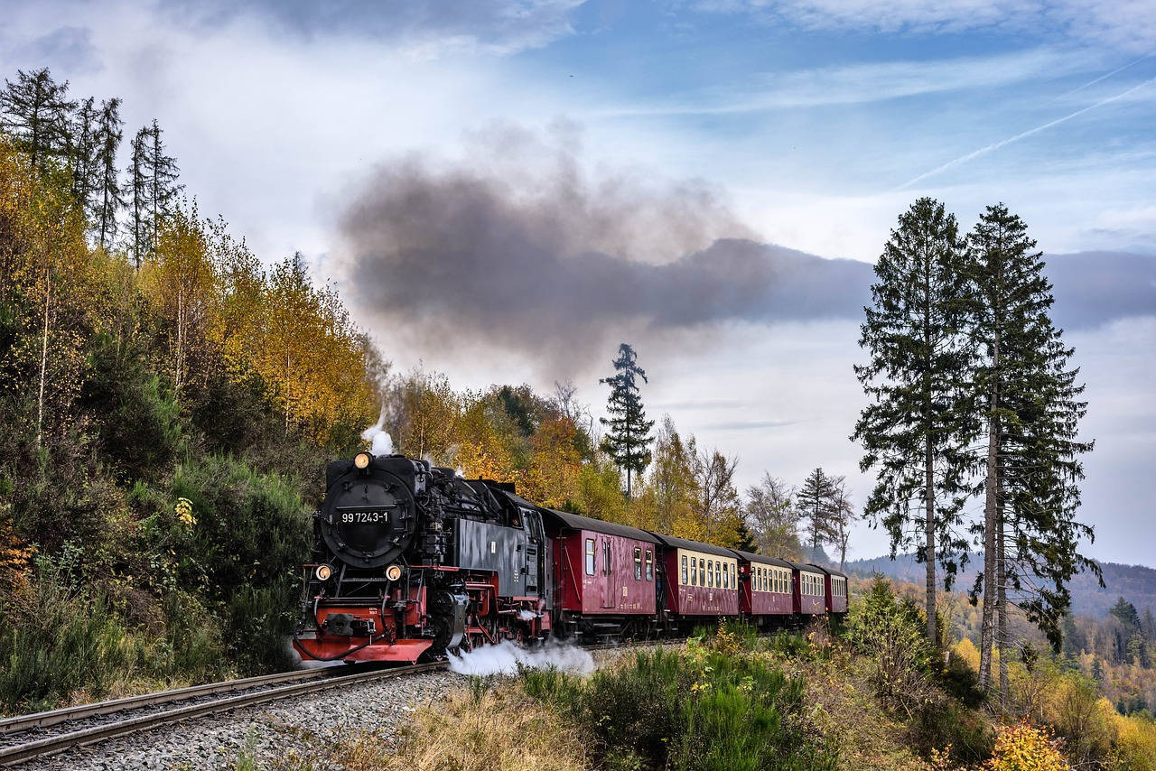 Dampflok im Harz